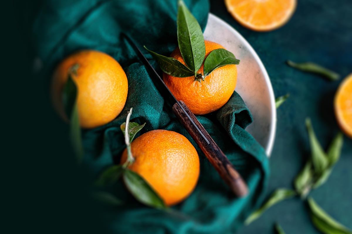 7 Beach Activities For You & Your Dog